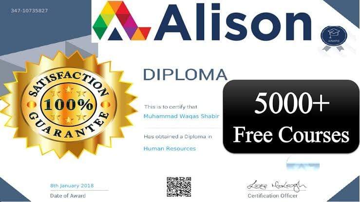 Example Alison diploma certificate